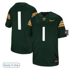 Nike Boys Baylor #1 jersey